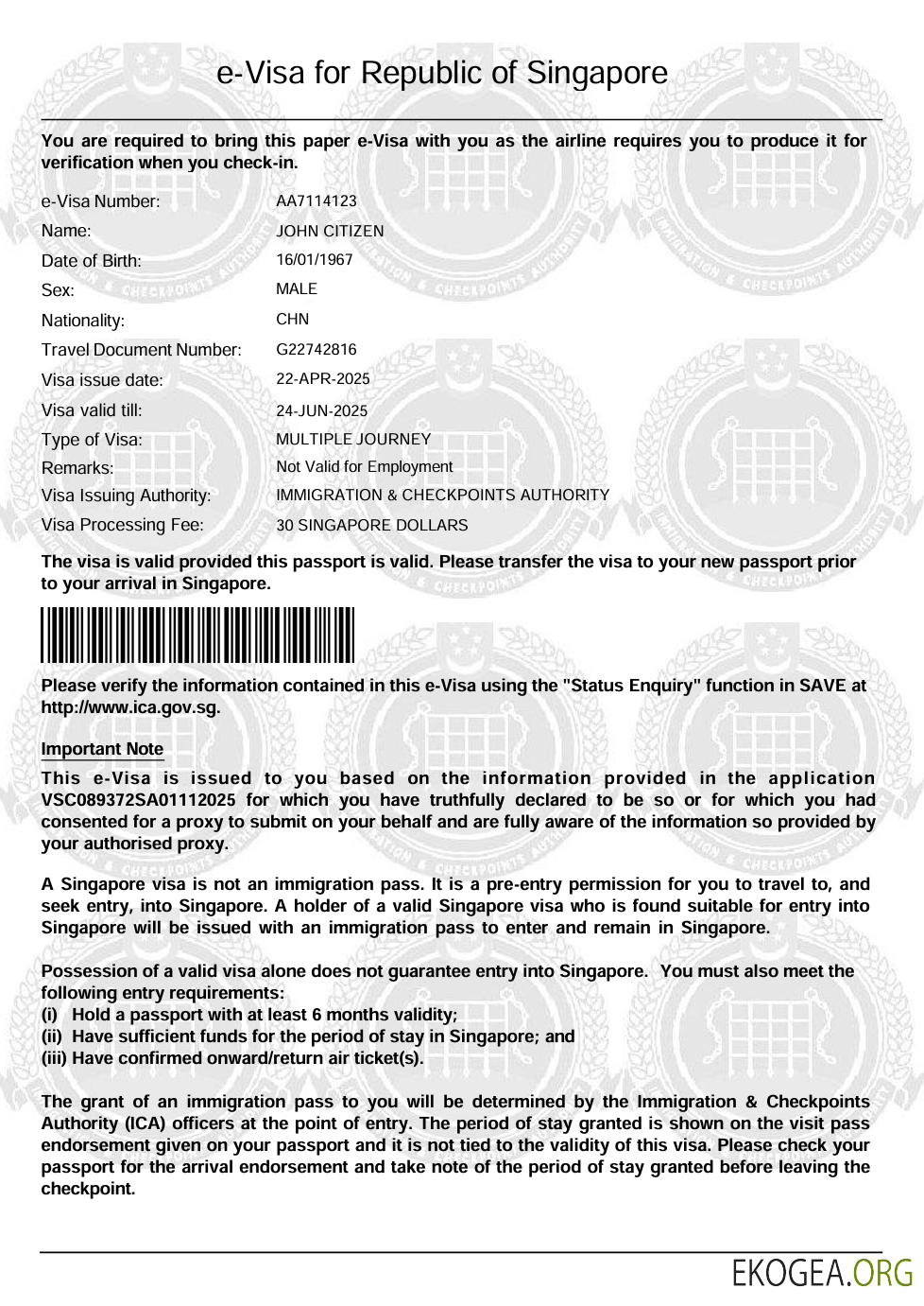 Modèle de visa électronique pour Singapour aux formats Word et PDF template